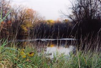 Greater Napanee Close Dump